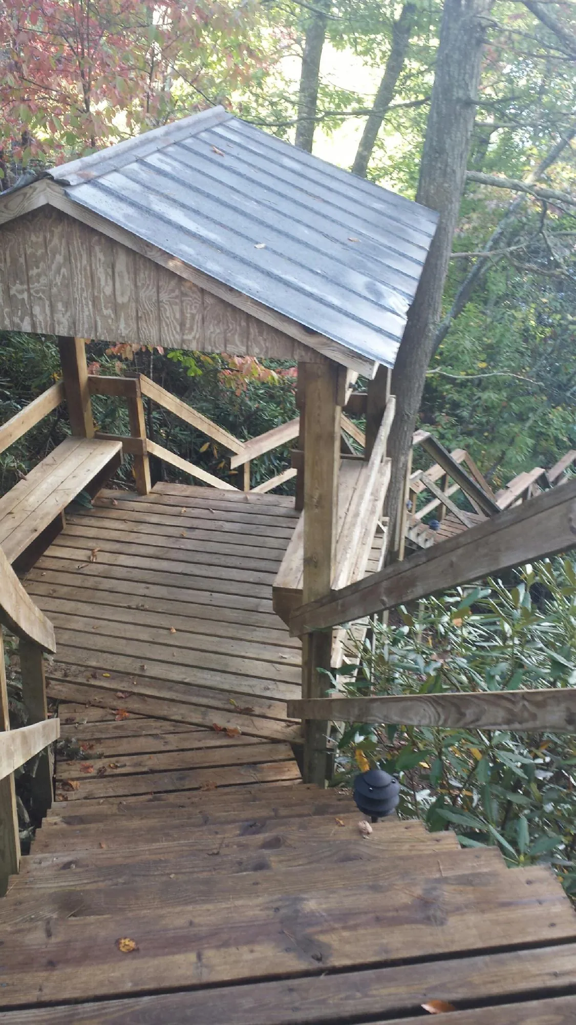 Metal roofed shelter over wooden steps on a wooded walkway — Skylight Repair & Installation work by our crew in Riner